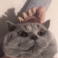 娱乐显微镜